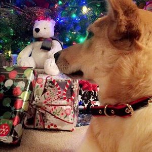 Meet your Posher, Joe